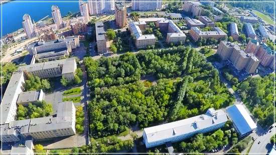 Лесной пояс вокруг Красноярска стоимостью 9 миллионов